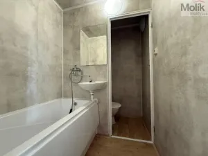 Pronájem bytu 1+1, Litvínov - Horní Litvínov, B. Němcové, 35 m2