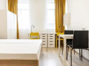 Pronájem bytu 1+kk, Brno, Hybešova, 22 m2