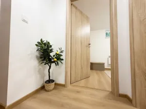 Prodej bytu 3+kk, Brno, Černovičky, 50 m2