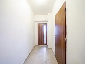 Prodej bytu 1+kk, Brno, 30 m2