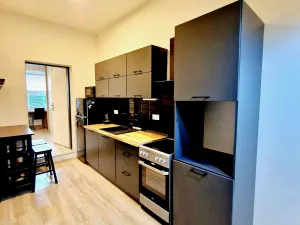 Pronájem bytu 2+kk, Brno, Václavská, 55 m2