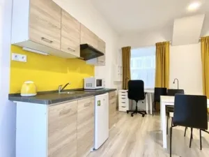 Pronájem bytu 1+kk, Brno, Václavská, 26 m2