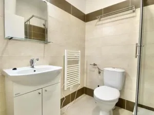 Pronájem bytu 1+kk, Brno, Václavská, 26 m2