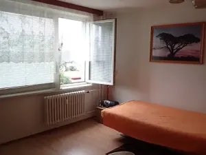 Pronájem bytu 1+kk, Brno, Zikova, 33 m2