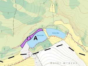 Prodej lesa, Nová Cerekev, 2440 m2