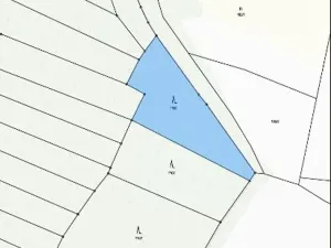 Prodej lesa, Mladoňovice, 2352 m2