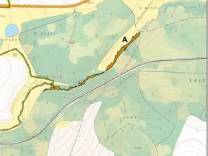 Prodej lesa, Dolní Hořice, 4440 m2