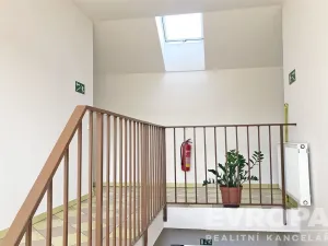 Pronájem bytu 1+kk, Mrsklesy, 21 m2