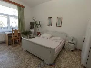 Prodej vícegeneračního domu, Duchcov, Tyršova, 320 m2
