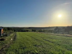 Prodej sadu/vinice, Svatobořice-Mistřín, 3478 m2