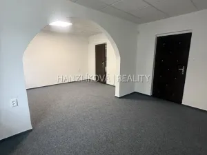 Pronájem kanceláře, České Budějovice - České Budějovice 3, Nemanická, 24 m2