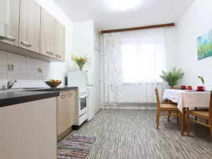 Pronájem bytu 1+1, Vyškov, Žižkova, 36 m2