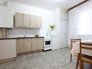 Pronájem bytu 1+1, Vyškov, Žižkova, 36 m2
