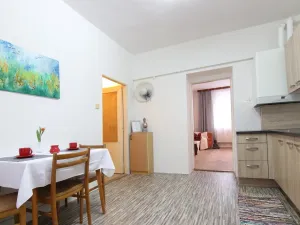 Pronájem bytu 1+1, Vyškov, Žižkova, 36 m2