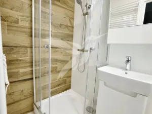 Prodej bytu 1+kk, Plzeň, Hodonínská, 31 m2