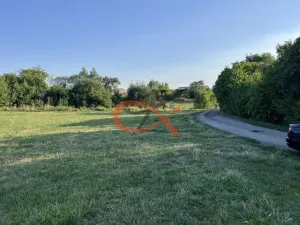 Prodej louky, Lešná, 2325 m2