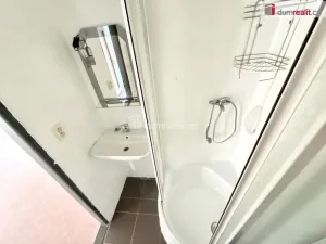Pronájem bytu 3+1, Tursko, Nová, 88 m2