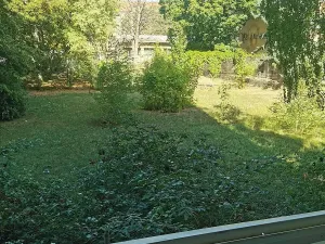Prodej bytu 3+1, Brno, Havlenova, 66 m2