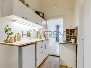 Pronájem bytu 2+1, Praha - Žižkov, Jeseniova, 44 m2