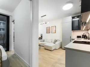 Prodej bytu 2+kk, Praha - Žižkov, Kaplířova, 45 m2