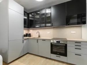 Prodej bytu 2+kk, Praha - Žižkov, Kaplířova, 45 m2