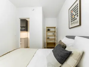 Prodej bytu 2+kk, Praha - Žižkov, Kaplířova, 45 m2
