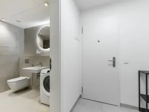 Prodej bytu 2+kk, Praha - Žižkov, Kaplířova, 45 m2