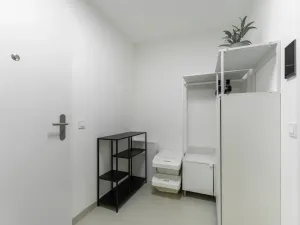Prodej bytu 2+kk, Praha - Žižkov, Kaplířova, 45 m2