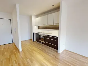 Pronájem bytu 2+kk, Brno, Fryčajova, 55 m2