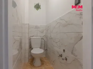 Prodej rodinného domu, Miličín - Petrovice, 360 m2