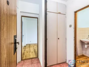 Prodej bytu 1+1, Mladá Boleslav - Mladá Boleslav III, S. K. Neumanna, 46 m2