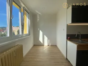 Pronájem bytu 1+1, Kadaň, Na Podlesí, 37 m2