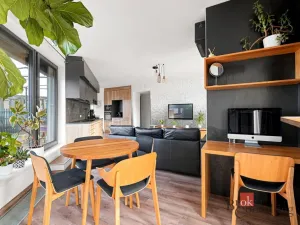 Pronájem bytu 2+kk, Plzeň - Východní Předměstí, Papírnická, 63 m2