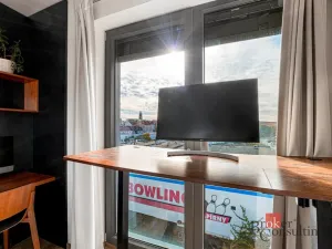 Pronájem bytu 2+kk, Plzeň - Východní Předměstí, Papírnická, 63 m2