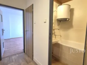 Pronájem bytu 1+1, Písek - Budějovické Předměstí, Sovova, 34 m2