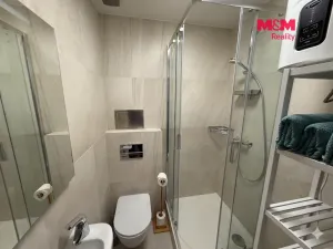 Pronájem bytu 1+kk, Líšnice, Spálený Mlýn, 27 m2