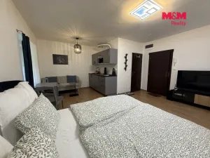Pronájem bytu 1+kk, Líšnice, Spálený Mlýn, 27 m2