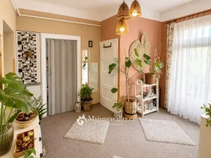 Prodej bytu 2+1, Znojmo, Rooseveltova, 81 m2