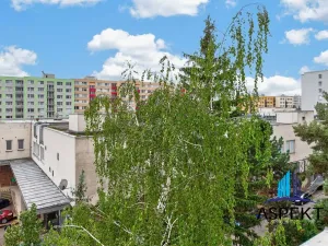 Pronájem bytu 3+kk, Mladá Boleslav - Mladá Boleslav II, Jana Palacha, 83 m2