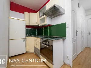 Pronájem bytu 1+1, Liberec, Nad Školou, 37 m2