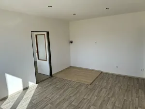 Pronájem bytu 2+1, Držkov, 56 m2
