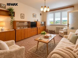 Prodej bytu 2+1, Plasy, Stará cesta, 60 m2
