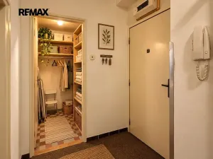 Prodej bytu 2+1, Plasy, Stará cesta, 60 m2