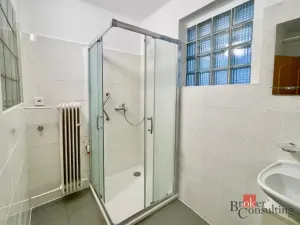 Pronájem rodinného domu, Čejkovice, 162 m2
