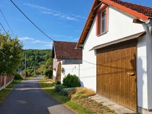 Prodej rodinného domu, Olšovec - Boňkov, 300 m2