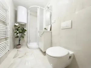 Prodej bytu 3+kk, Brno, Bolzanova, 49 m2