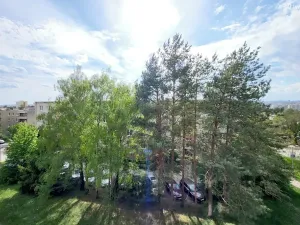 Prodej bytu 2+1, Brno, Došlíkova, 52 m2