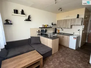 Prodej bytu 1+1, Plzeň - Bolevec, Gerská, 39 m2