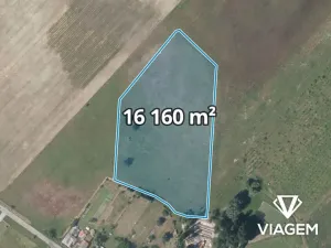 Prodej podílu pole, Horka I, 8080 m2