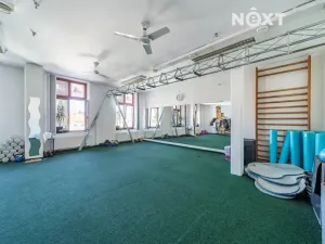 Pronájem obchodního prostoru, Karviná, Masarykovo nám., 165 m2
